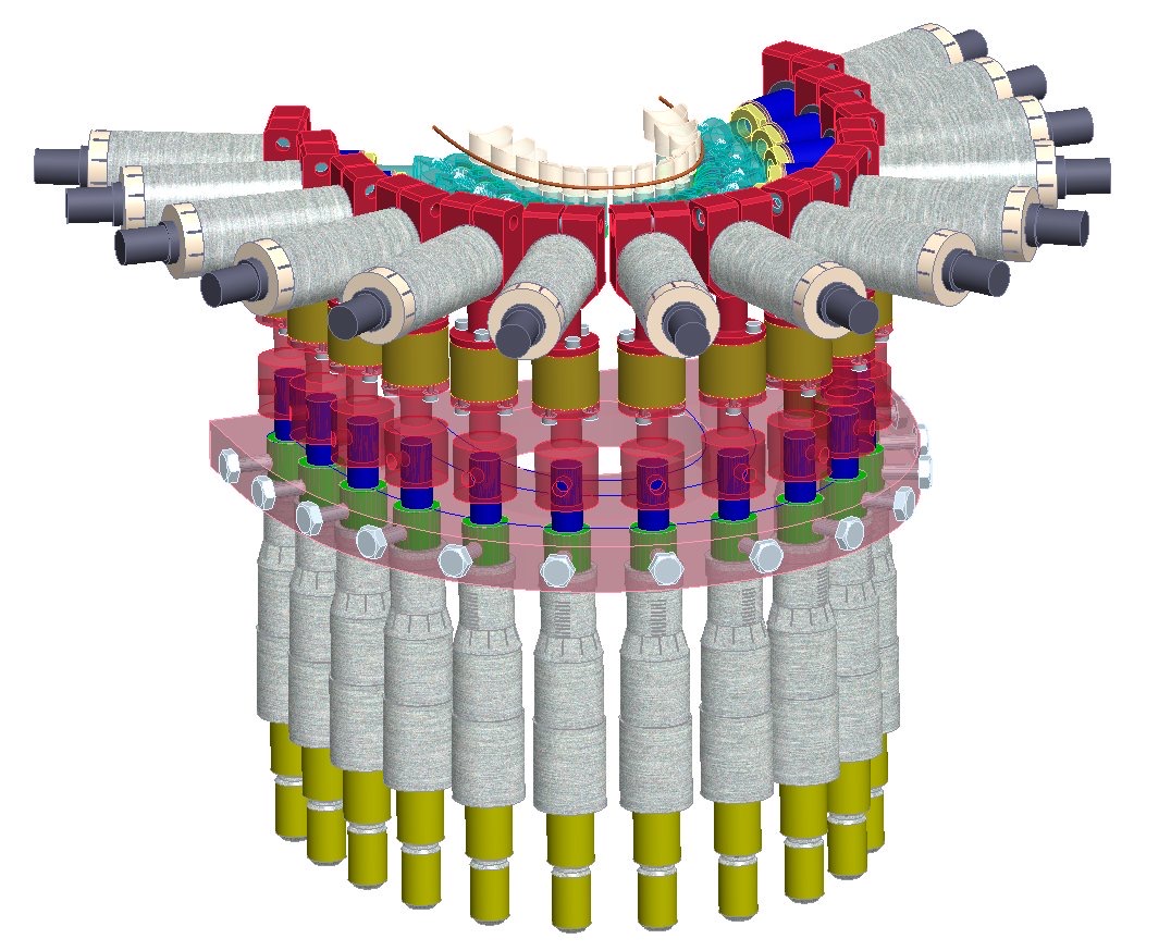 The Orthodontic Simulator (OSIM)